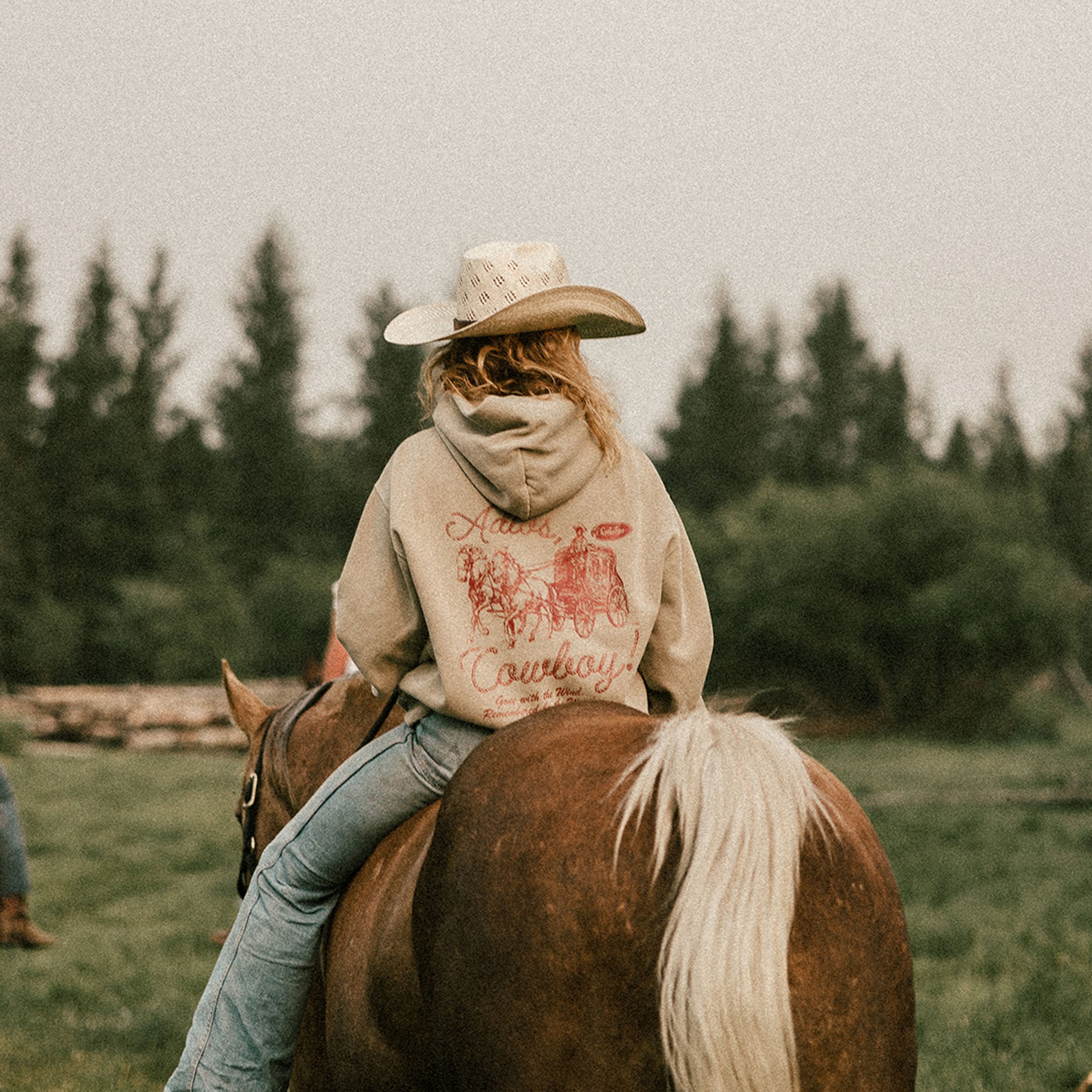 Adios Cowboy - Hoody (Faded Taupe)